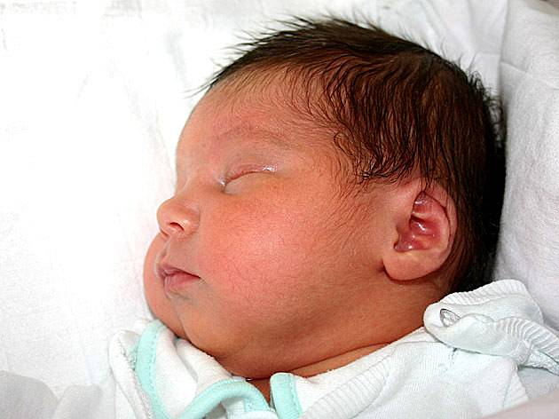 Mamince Martině Hanusové se  v mostecké nemocnici 25. prosince v 5.20 hodin narodila dcera Miroslava Hanusová. Vážila 2,81 kg a měřila 48 cm. 