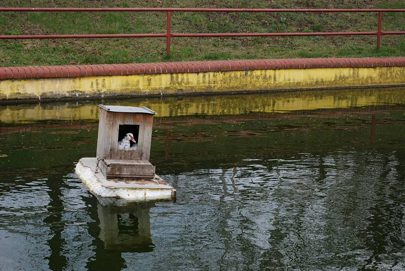 Obec Lužice, která má svou mateřskou školu, leží v CHKO České středohoří.