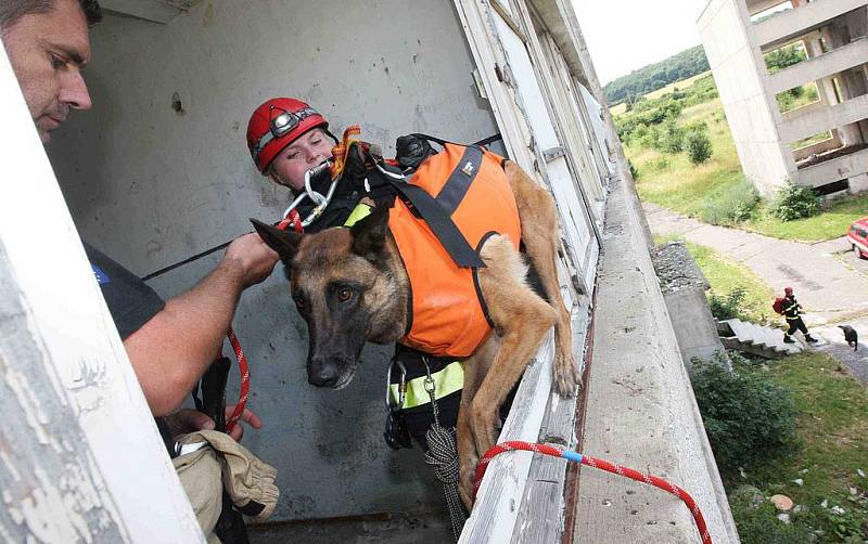 Záchranáři kynologické brigády IZS nacvičovali vyhledávání osob na chánovském sídlišti