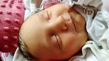 Emma Šulcová se narodila mamince Evě Šulcové v ústecké porodnici 30. dubna ve 20.43 hodin. Měřila 50 cm a vážila 3,7 kilogramu.