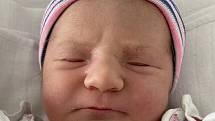 Nikola Kročilová se narodila 26. května ve 20.20 hodin mamince Michaele Štupkové z Mostu. Měřila 50 centimetrů a vážila 3,40 kilogramu.