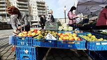 Farmářský trh na 1. náměstí v Mostě v sobotu 24. dubna..
