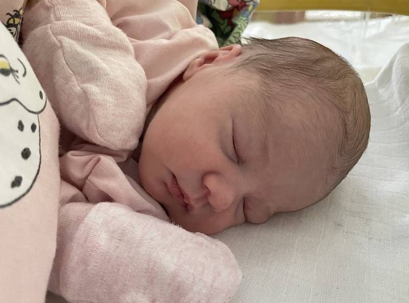Viktorie Šeflová se narodila 23. listopadu 2021 ve 12.00 hodin mamince Nikole Klimplové z Mostu. Měřila 47 cm a vážila 2,80 kilogramu.