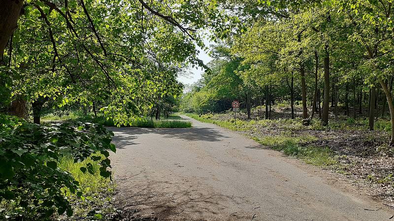 Park Hrabák v Mostě, kde se má rozšiřovat zahradnická kolonie.