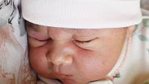 Ella Langerová se narodila mamince Barboře Langerové z Bíliny 26. dubna v 7.32 hodin. Měřila 49 centimetrů a vážila 3,40 kilogramu.