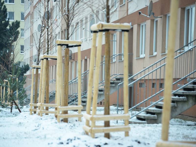 Jedna z alejí na sídlišti Výsluní v Mostě. Výsadba má své odpůrce. Podobnou situaci zažil loni Liščí Vrch. 