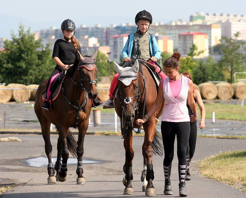 Příměstský tábor na mosteckém hipodromu, 2012.