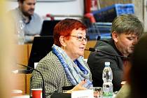 Mostecká opozice rozpočet nepodpořila, na snímku zastupitelka Hana Jeníčková ze Sdružení Mostečané Mostu.