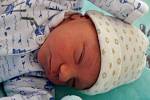 Vojtěch Pleskač se narodil mamince Michaele Velebilové z Mostu 16. září 2018 ve 3.10 hodin. Měřil 48 cm a vážil 2,69 kilogramu.