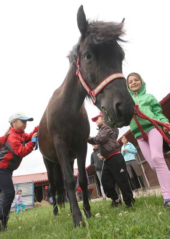 Příměstský tábor na mosteckém hipodromu,  2011.