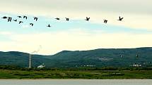 Jezero Most se už stává atrakcí, přestože přístup k vodě ještě není povolen kvůli výstavbě rekreačního zázemí na pobřeží.