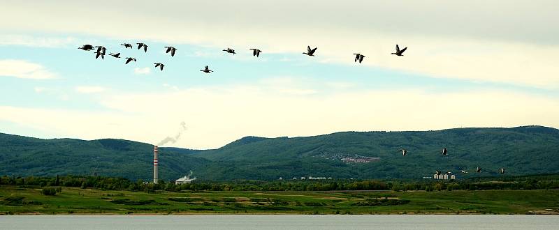 Jezero Most se už stává atrakcí, přestože přístup k vodě ještě není povolen kvůli výstavbě rekreačního zázemí na pobřeží.