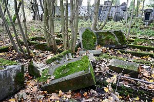 Část hřbitova v krušnohorském Brandově.