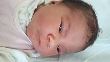 Viktorie Nedvědová se narodila 26. prosince 2017 v 18.00 hodin mamince Michaele Duffkové z Mostu. Měřila 53 cm a vážila 3,83 kilogramu.