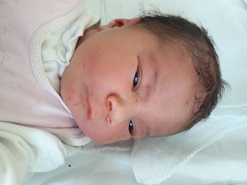 Viktorie Nedvědová se narodila 26. prosince 2017 v 18.00 hodin mamince Michaele Duffkové z Mostu. Měřila 53 cm a vážila 3,83 kilogramu.