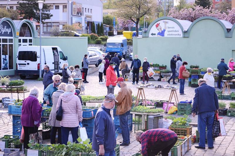 V Mostě se v sobotu 25. dubna konaly dva trhy. Na snímku tržnice u Kosmosu.