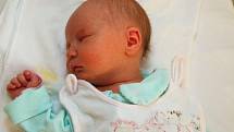 Dne 29. října ve 13.34 hodin se Libuši Mrázkové z Mostu narodila dcera Nelly Budiačová. Při 48 kg vážila 3.08 kg.