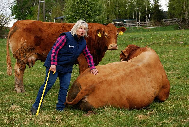 Nejlepší ekofarmou roku 2022 je Farma Kateřina v Krušných horách na Mostecku, která se zaměřuje na chov plemenného dobytka. Rodinný podnik založili v roce 1995 manželé Adolf a Kateřina Loosovi z Hory Svaté Kateřiny.