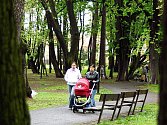 Zámecký park v Litvínově.