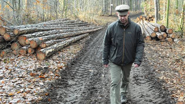 Na Resslu se těží dřevo. Lidé si mají dát u mýtin větší pozor. Na snímku revírník Daniel Konrád.