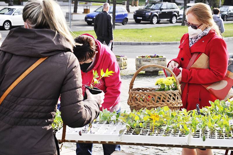 Farmářský trh na 1. náměstí v Mostě v sobotu 24. dubna.