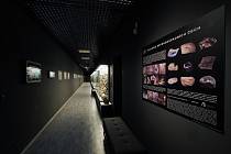 Nově otevřená geologická část přírodovědné expozice v Oblastním muzeu a galerii v Mostě.