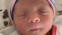 Stella Pelikánová se narodila 25. prosince 2021 v 5.28 hodin mamince Blance Lozinčákové z Mostu. Měřila 45 cm a vážila 2,17 kilogramu.