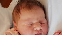 Kamila Baránková se narodila Zuzaně Baránkové z Teplic 9. srpna v  17.18 hodin v teplické porodnici. Měřila 49 cm, vážila 3,50 kg.
