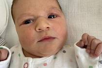 Julie Michelová se narodila 27. března v 1.34 hodin mamince Kateřině Michelové z Postoloprt. Měřila 50 centimetrů a vážila 3,36 kilogramu.
