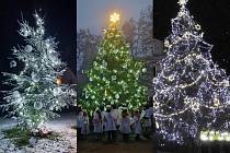 Vánoční stromy v Saběnicích, Havrani a Litvínově (zleva)