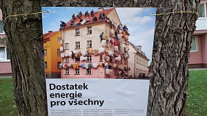 Výstava na stromech v ulici Jana Kubelíka v Mostě.