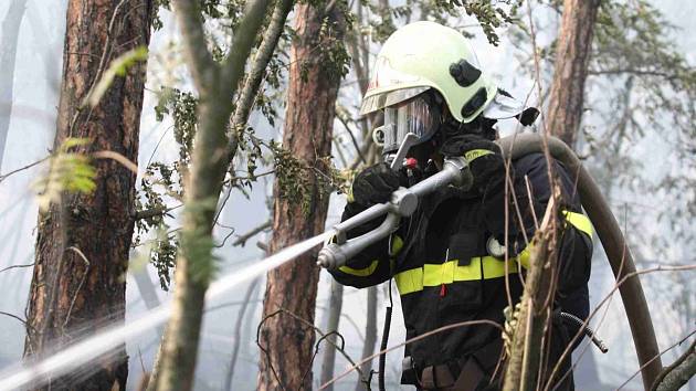 Hasiči zasahují u požáru lesa Ressl v Mostě