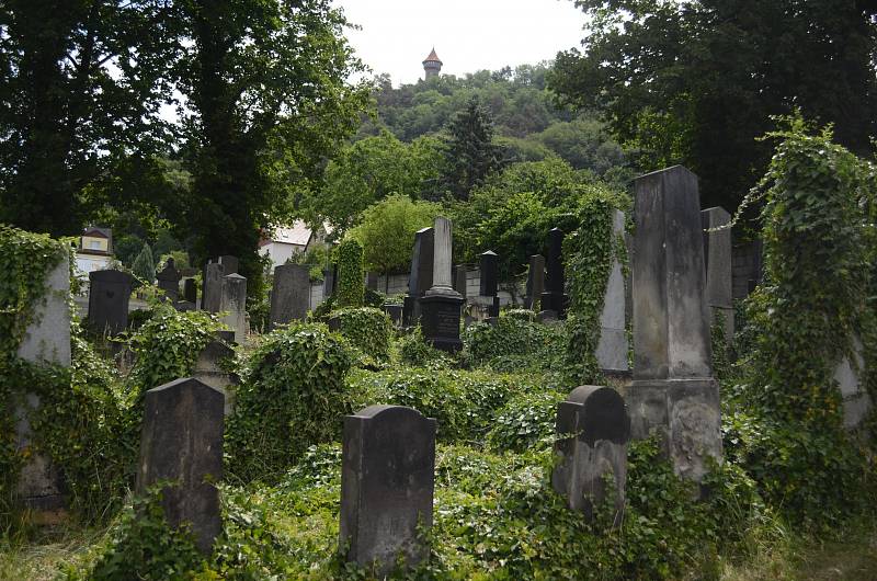 Opomíjená místa v Mostě. Tady pohřbili známé lékaře i rabíny