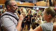 Mezinárodní výstava koček v Repre.