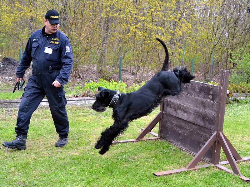 Policejní psi z Česka a německého Saska soutěžili v Kaňkově.