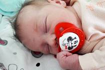Eliška Ilavská se narodila mamince Lence Longauerové z Mostu 29. listopadu 2018 v 7.33 hodin. Měřila 52 cm a vážila 3,1 kilogramu.