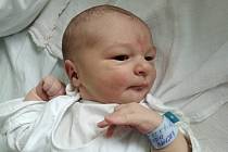 Ondřej Kocman se narodil 7.července v 0.11 hodin v Ústí nad Labem rodičům Tomáši Kocmanovi a Janě Kocmanové Pergnerové. Měřil 51 cm a vážil 3,87 kg.