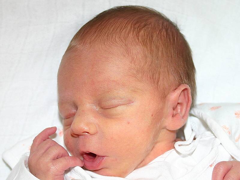 Mamince Lence Bírové z Pikovic u Prahy se 29. května v 0:25 hodin narodil syn Lukáš Bečkovský. Vážil 2,48 kilogramu a měřil 46 centimetrů.