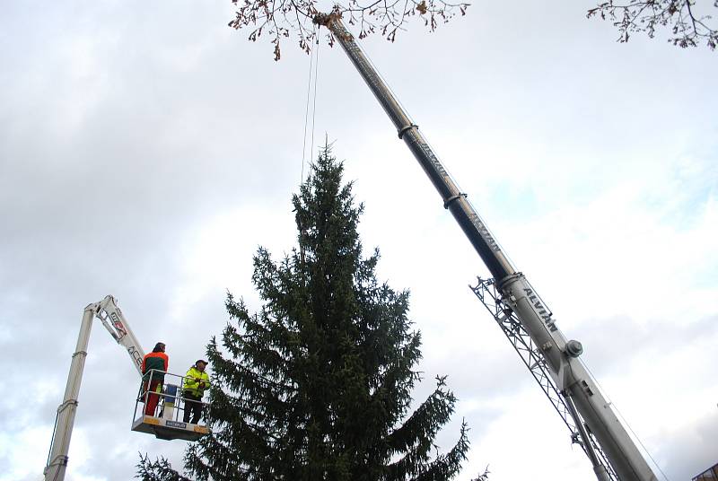 Na mosteckém 1. náměstí už stojí vánoční strom.