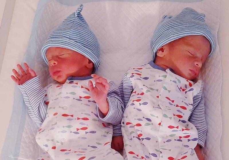 Otakar a Michael Veselí se narodili 3. 5. 2020 v ústecké nemocnici. Otakar v 15.07 a měřil 45 cm a vážil 2,25 kilogramu. Michael v 15.08 a měřill 47 cm a vážil 2,6 kilogramu.Maminka Michaela Veselá a otec Otakar Veselý.