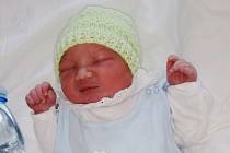 Honzík Šobek se narodil 18. 3. 2020 ve 22.53 hodin mamince Michaele Šobkové. Vážil 3,8 kg a měřil 52 cm.