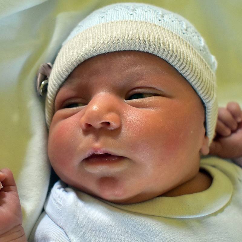 Marie Bachovská se narodila mamince Marii Bachovské z Krupky 8. května v 5.43 hodin v teplické porodnici. Měřila 51 centimetrů, vážila 3.95 kilogramu.