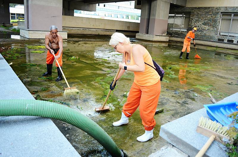 Zaměstnanci městských technických služeb čistili bývalý okrasný bazén u kulturního domu Repre v Mostě.
