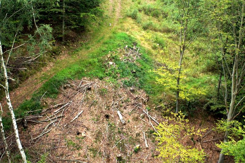 Zipline dráha v Klínech vyhrála v anketě Krušnohorská NEJ.