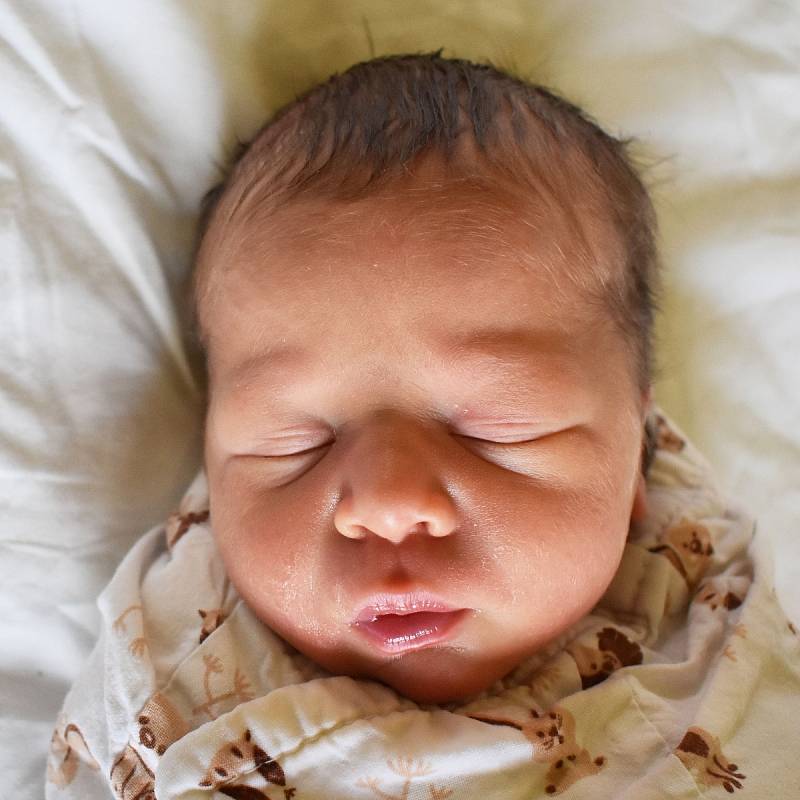 Eva Petíková se narodila mamince Julii Petíkové z Duchcova 9. května v  10.38 hodin v teplické porodnici. Měřila 46 centimetrů a vážila 2,40 kilogramu.