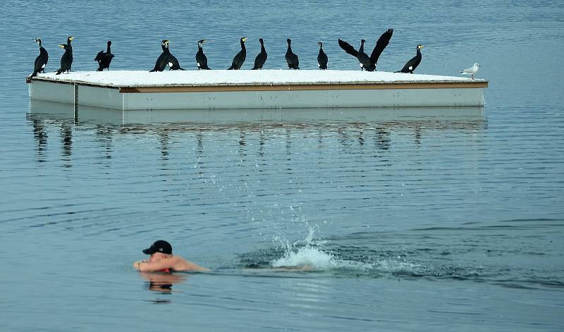 Jezero Most v sobotu odpoledne 13. února 2021.