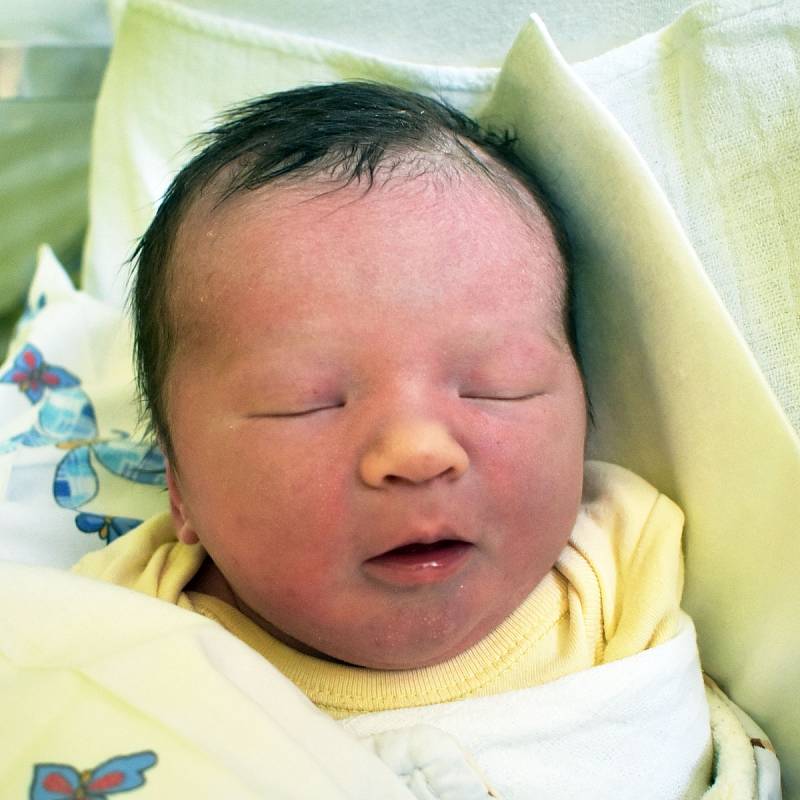 Natálie Gybel se narodila 3. srpna v 10.08 hodin mamince Radce Pačesové z Oseka. Měřila 50 cm, vážila 3,20 kg.