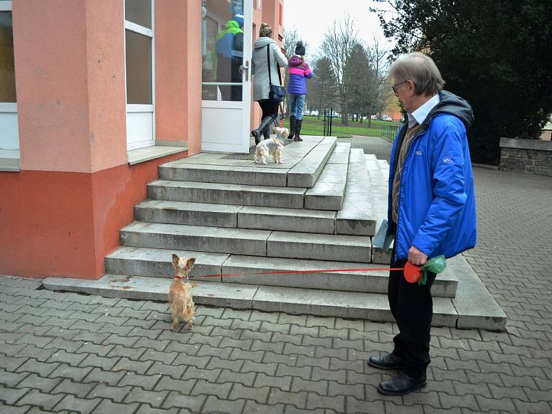 První den prezidentských voleb na 8. ZŠ v Mostě