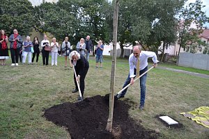 V Litvínově vysadili Strom Míru jako památku na oběti válek.