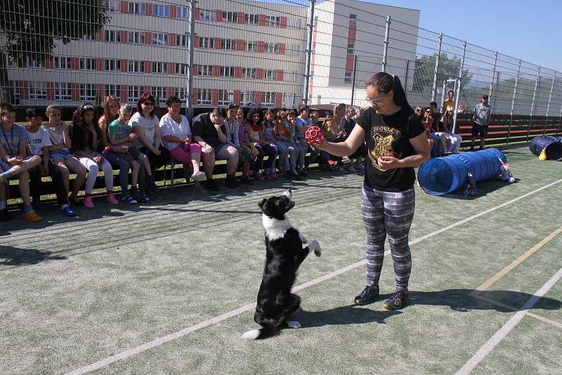  Lada Půlpánová se psem Geem při ukázkách na litvínovské speciální škole